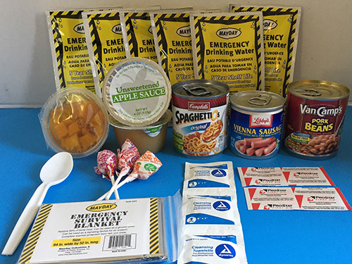 All Food—Vegetarian Student Emergency Kit