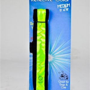 Illuminated Dog Collar