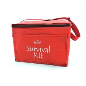 Red Vinyl Cooler Bag w/Strap, w/Imprint